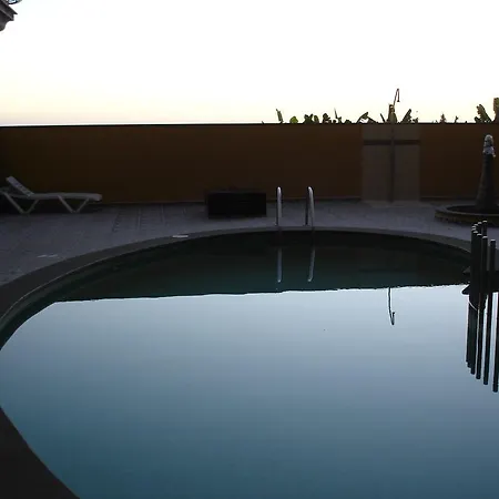 Palmita