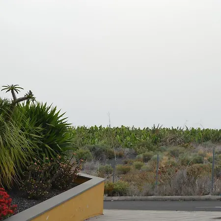 Palmita Apartman Tazacorte