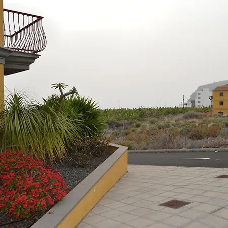 Apartman Palmita *