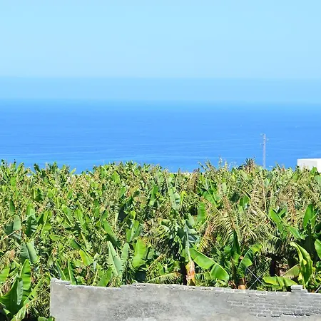 Palmita * Tazacorte
